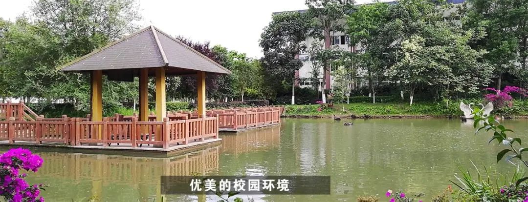 四川省旅游学校黄龙溪校区怎么样？是公办还是民办，免不免学费？