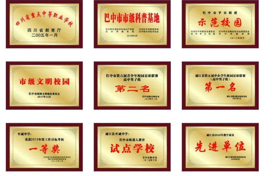 通江县至诚职业中学荣誉奖牌